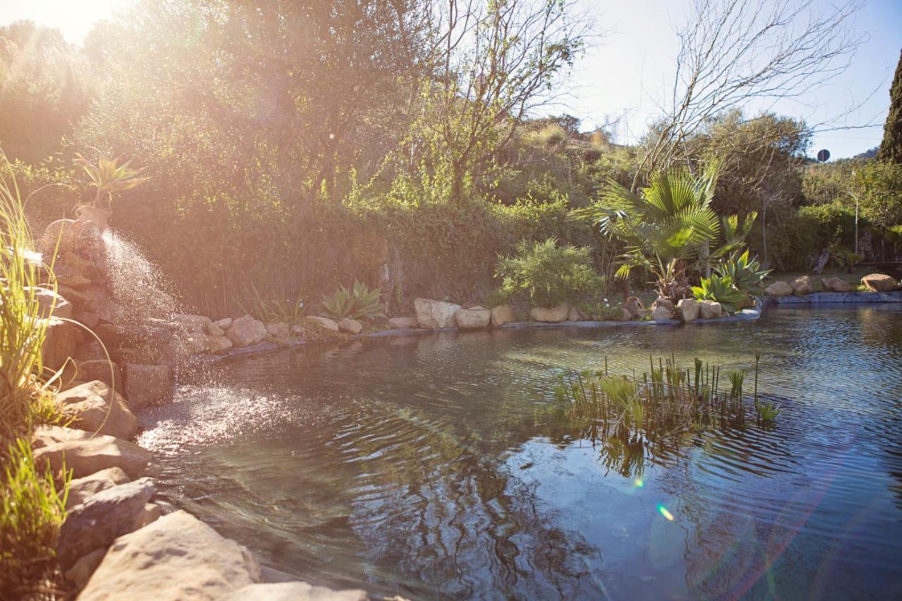 Casarabonela Hotel Cortijo San Antonio Caminito De Rey מראה חיצוני תמונה